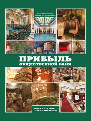cover image of Прибыль общественной бани